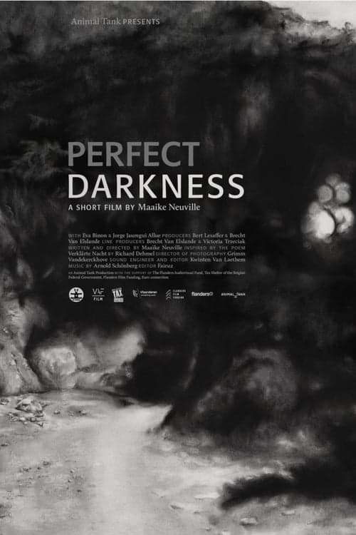 Perfect Darknessのポスター