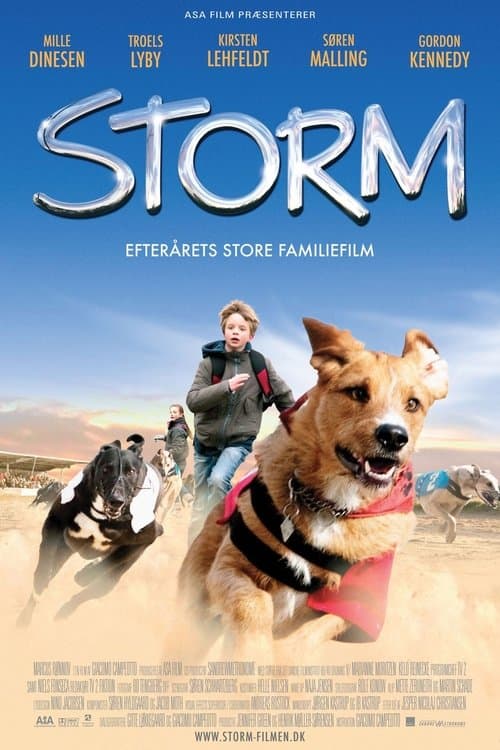 Stormのポスター