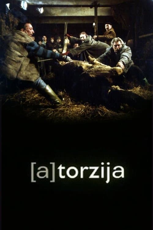 (A)Torzijaのポスター