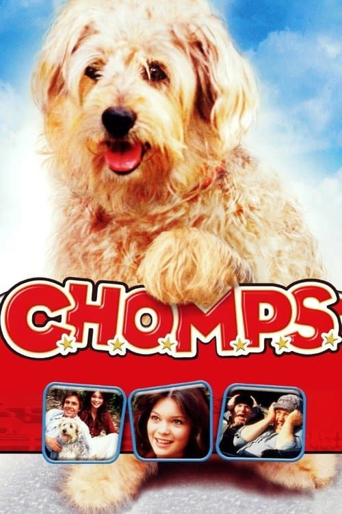 C.H.O.M.P.S.のポスター