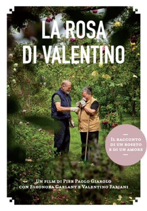La rosa di Valentinoのポスター