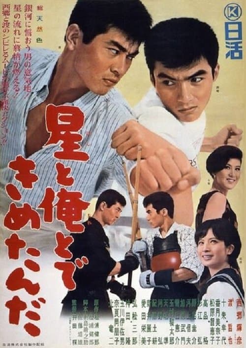 星と俺とできめたんだのポスター