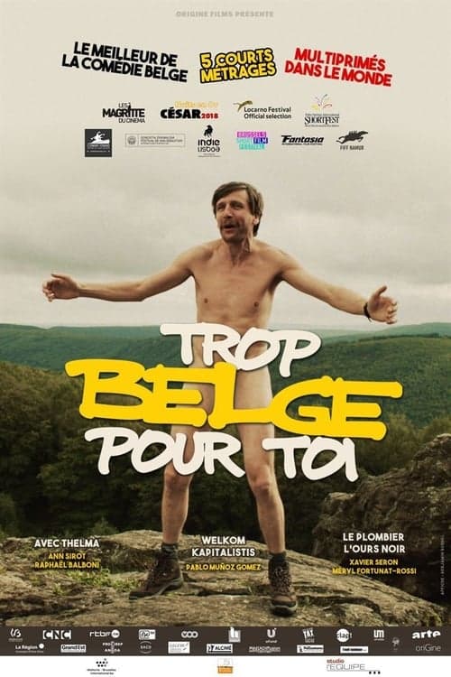 Trop belge pour toiのポスター