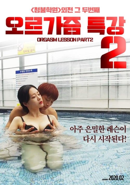 오르가즘 특강 2のポスター