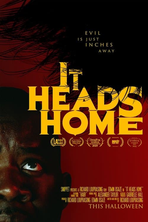 It Heads Homeのポスター