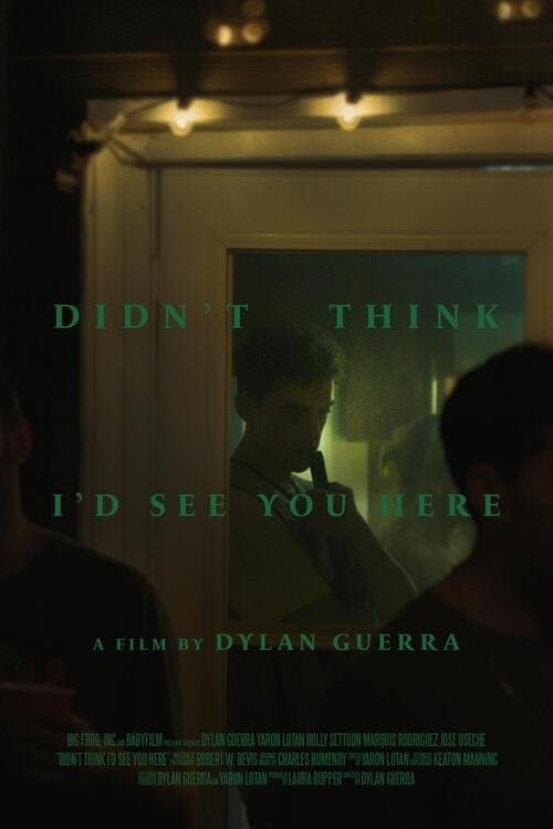 Didn't Think I'd See You Hereのポスター