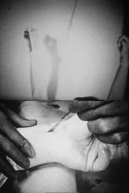 Blicklustのポスター