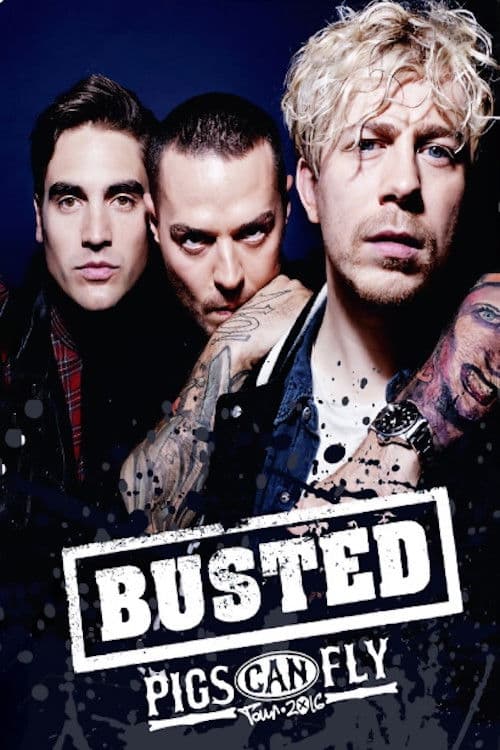Busted: Pigs Can Fly Tour 2016のポスター