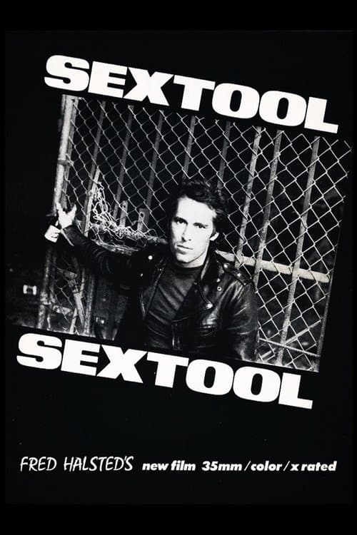Sextoolのポスター