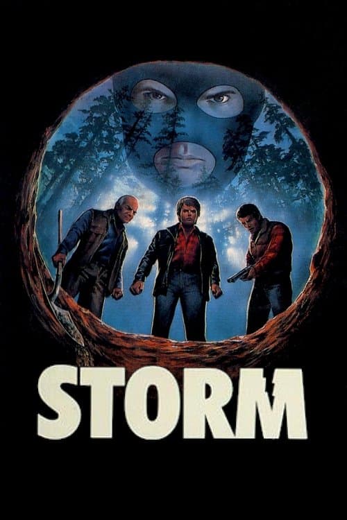 Stormのポスター