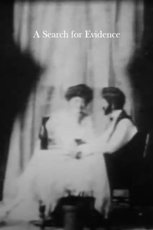 A Search for Evidenceのポスター