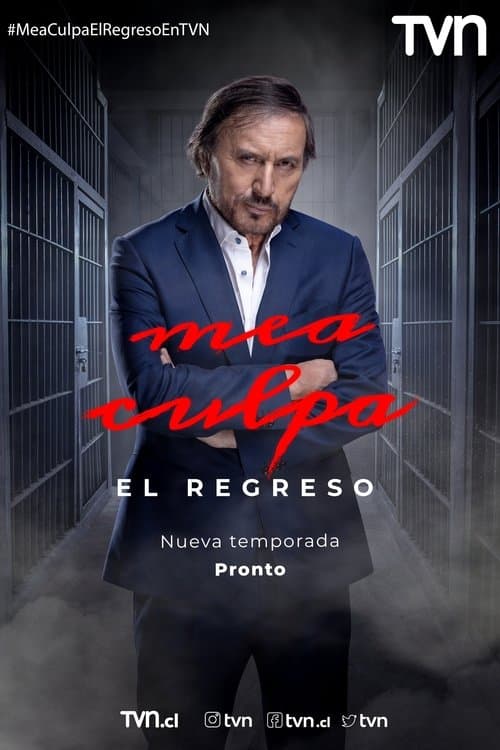 Mea culpaのポスター