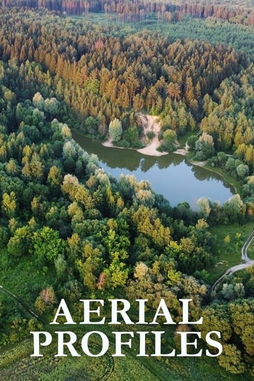 Aerial Profilesのポスター