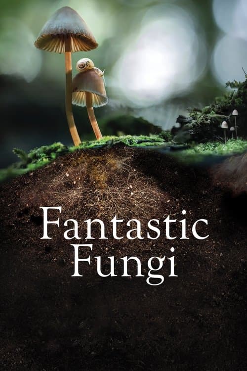 Fantastic Fungiのポスター