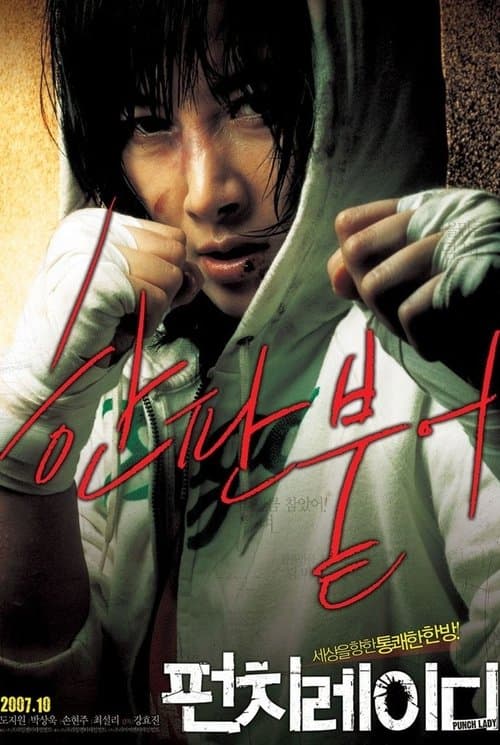 펀치 레이디のポスター