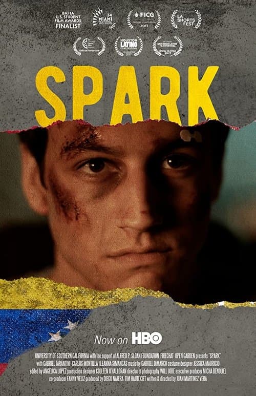 Sparkのポスター