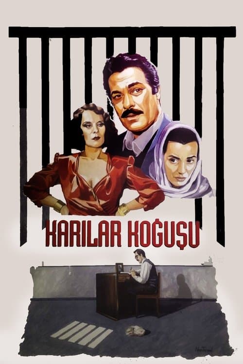 Karılar Koğuşuのポスター