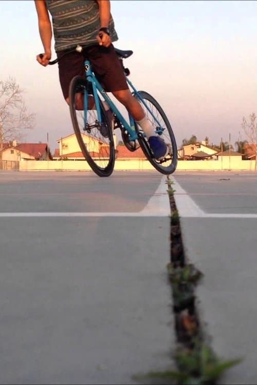 fixieのポスター