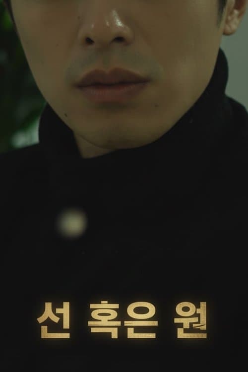 선 혹은 원のポスター