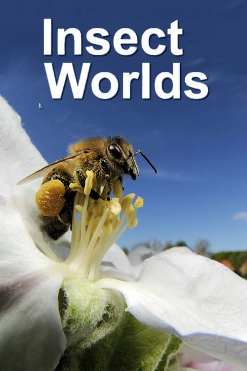 Insect Worldsのポスター
