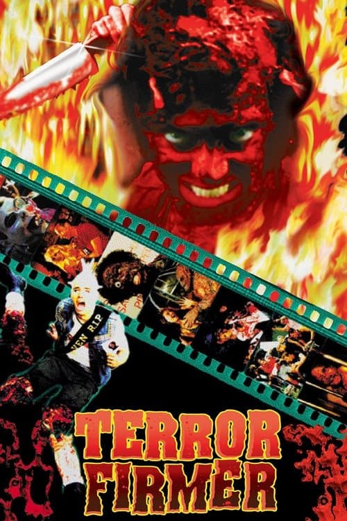 Terror Firmerのポスター