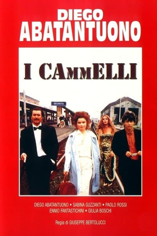 I cammelliのポスター