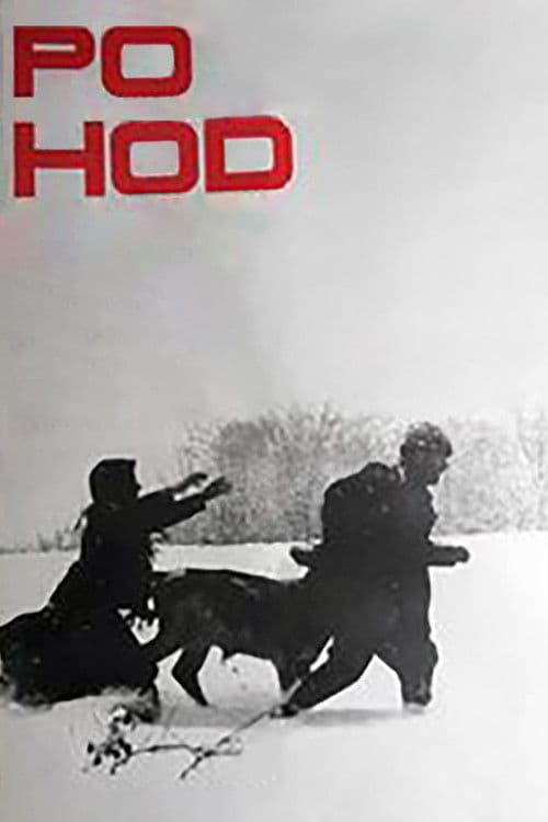 Pohodのポスター