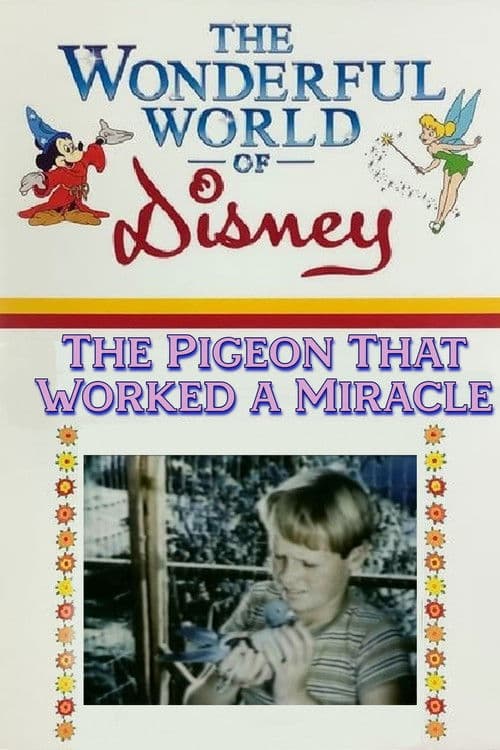The Pigeon That Worked a Miracleのポスター