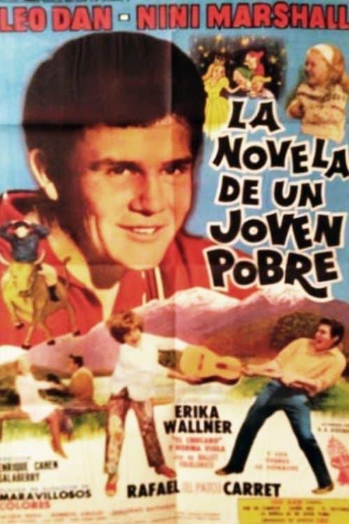 La novela de un joven pobreのポスター