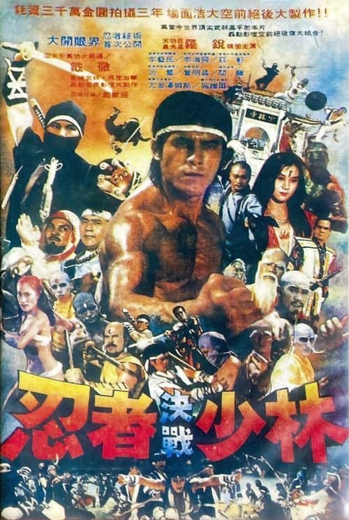 忍者決戰少林のポスター