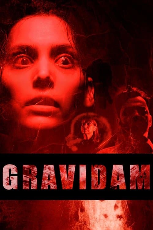 Gravidamのポスター