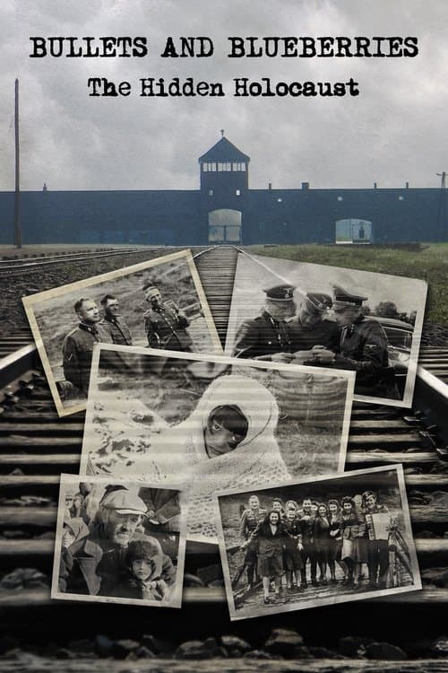 Bullets And Blueberriesのポスター