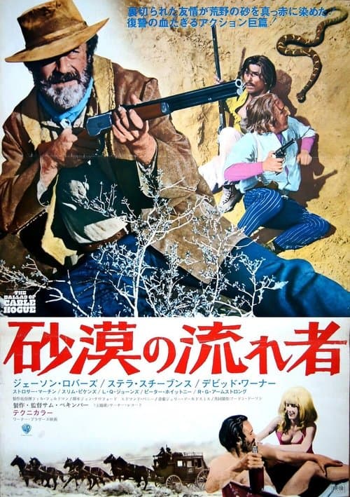 砂漠の流れ者のポスター
