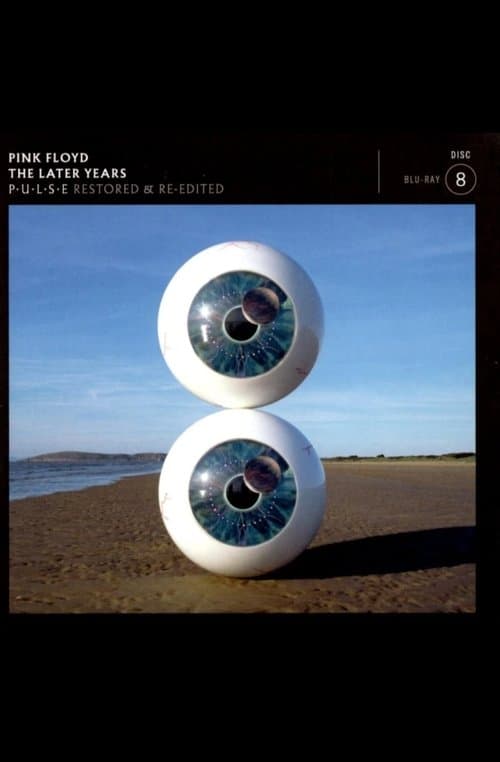Pink Floyd - The Later Years Vol 3 - Pulseのポスター