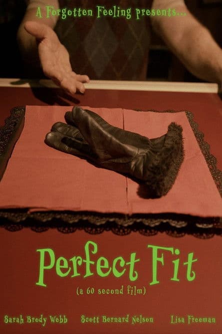 Perfect Fitのポスター
