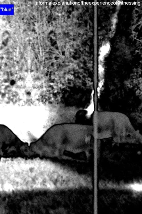 A Formal Explanation of the Experience of Witnessing "blue"のポスター