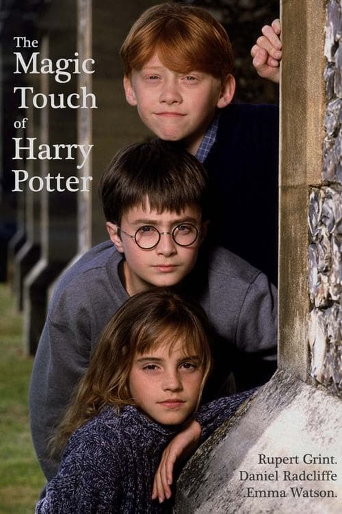The Magic Touch of Harry Potterのポスター
