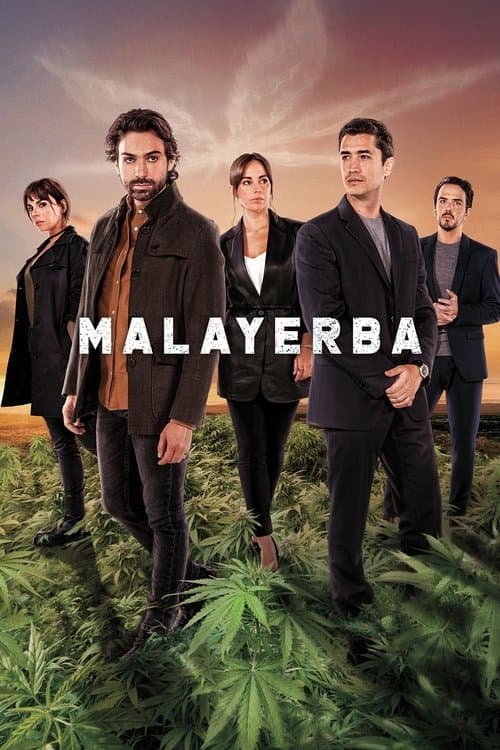 MalaYerbaのポスター
