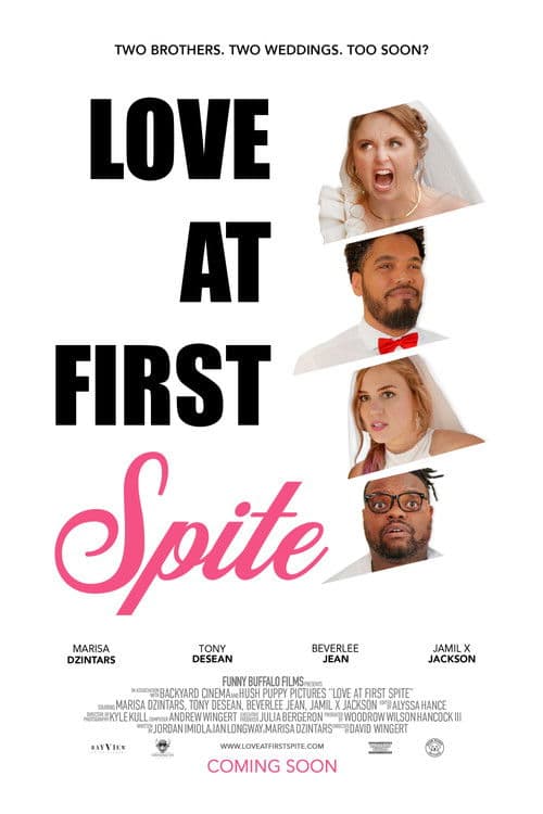 Love at First Spiteのポスター
