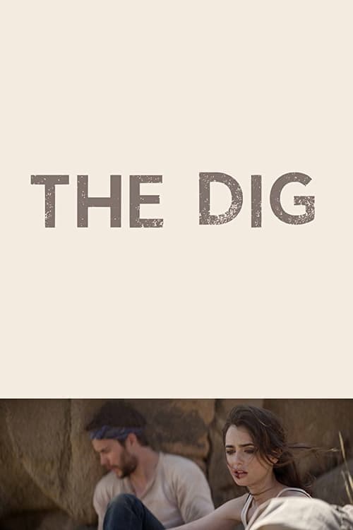 The Digのポスター