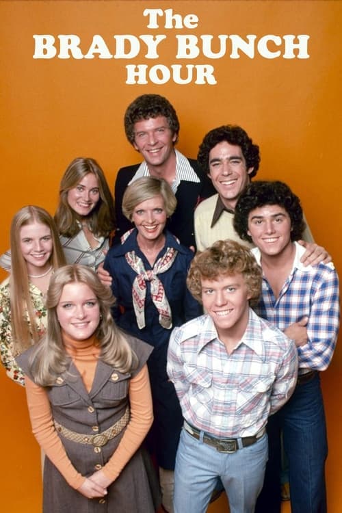 The Brady Bunch Hourのポスター