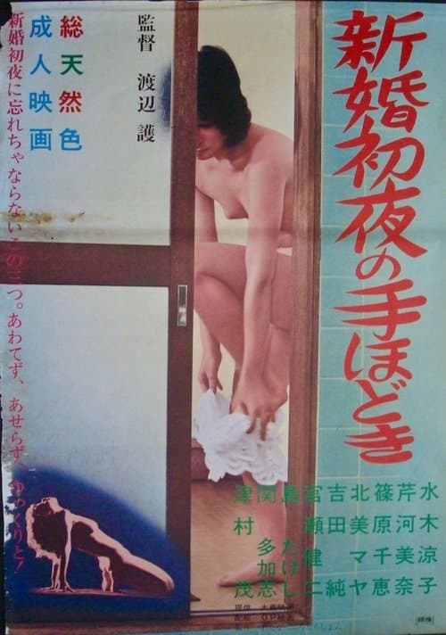 新婚初夜の手ほどきのポスター
