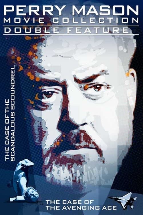 Perry Mason: The Case of the Avenging Aceのポスター