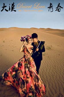 大漠青春のポスター