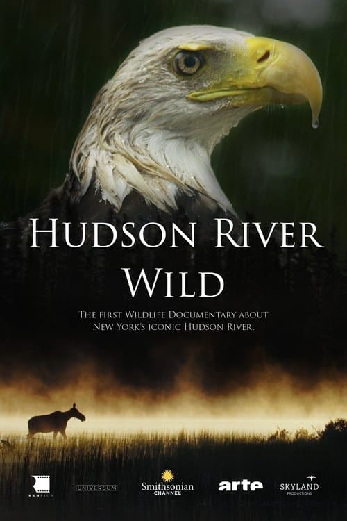 Hudson River Wildのポスター
