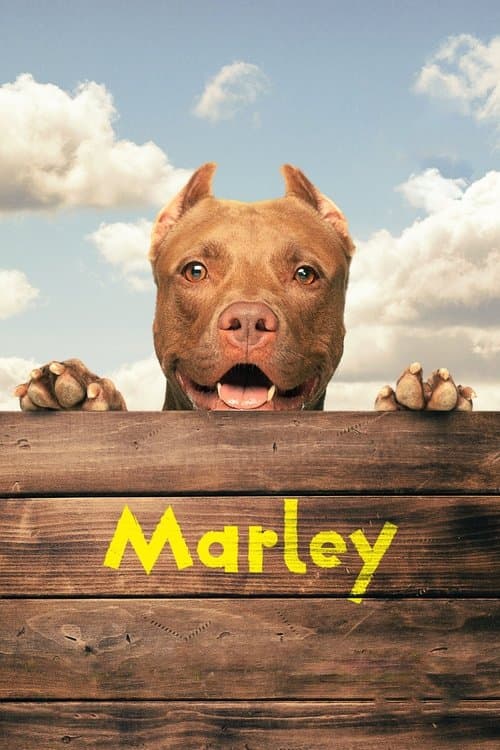Marleyのポスター