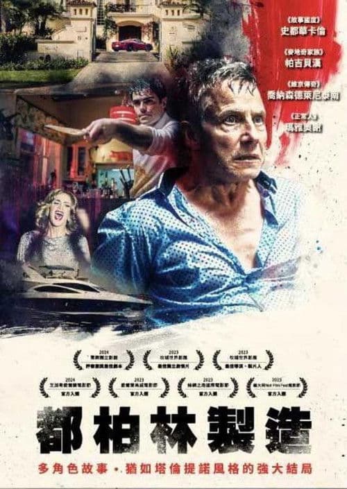 Made in Dublinのポスター