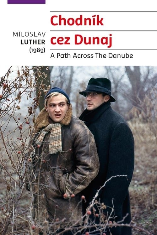 Chodník cez Dunajのポスター