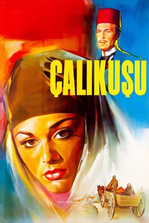 Çalıkuşuのポスター
