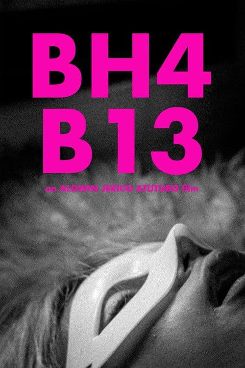 BH4B13のポスター